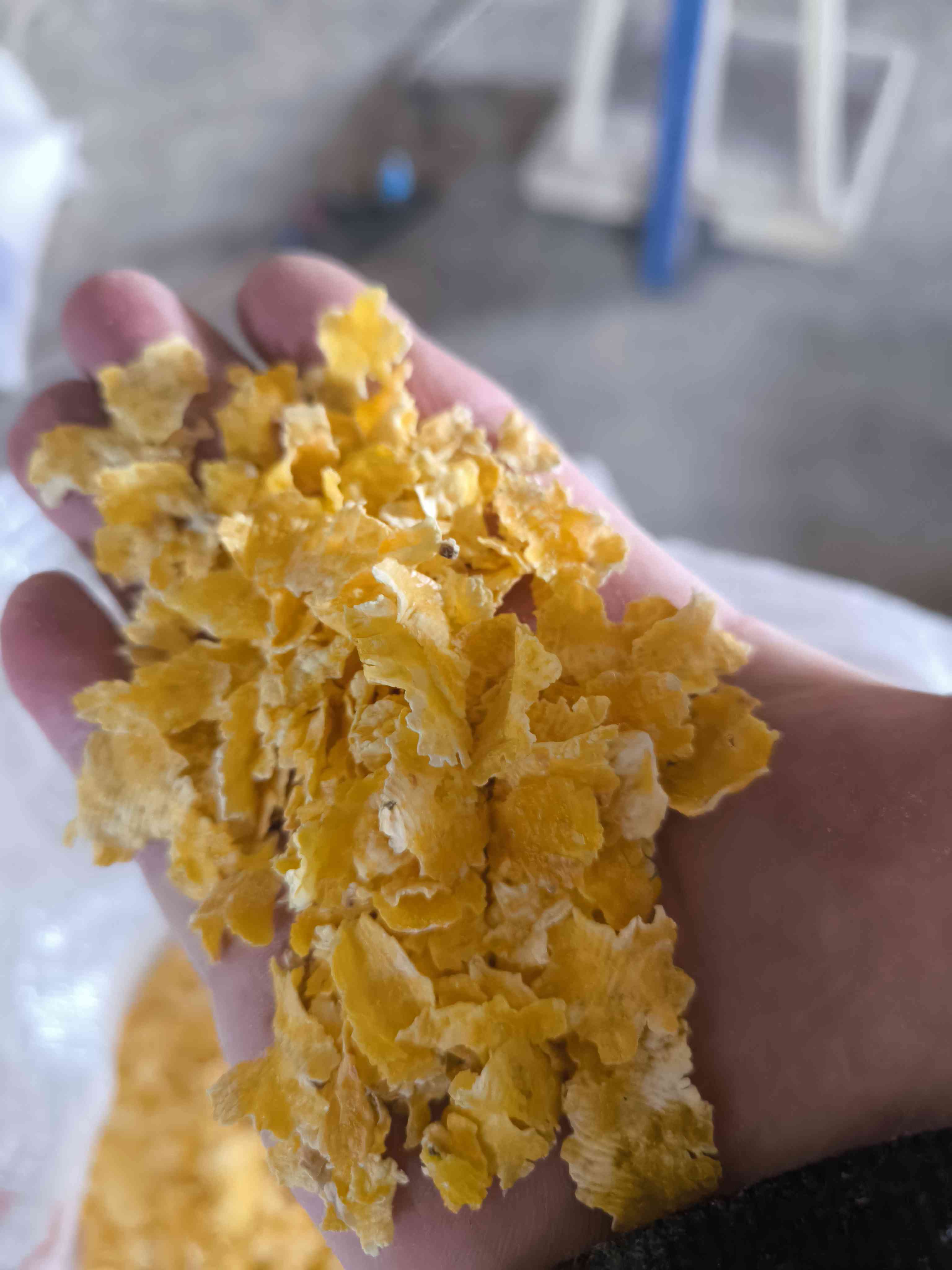 Mısır flake
