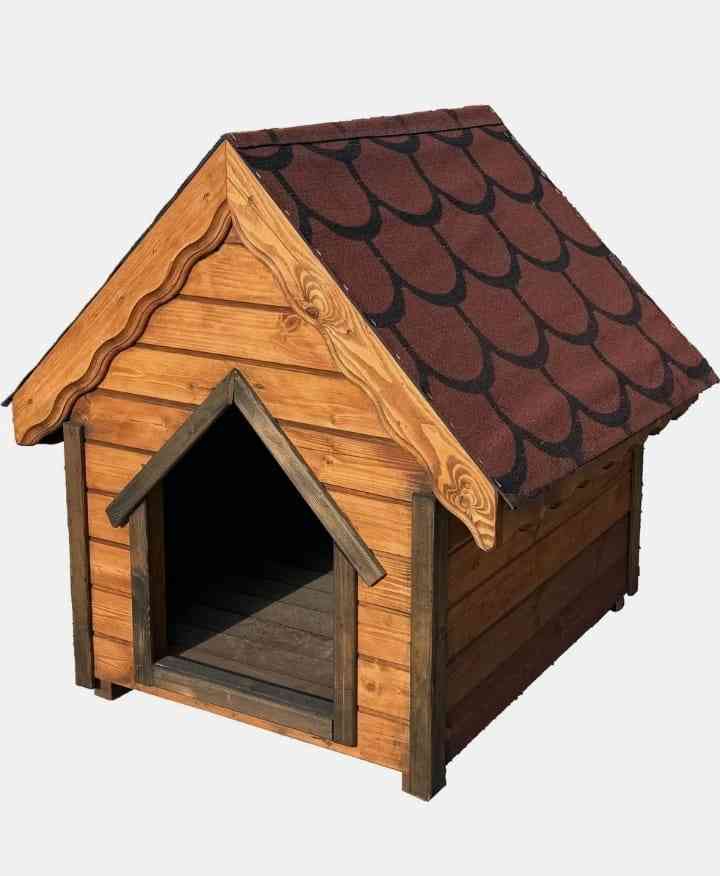 Köpek kulübesi
