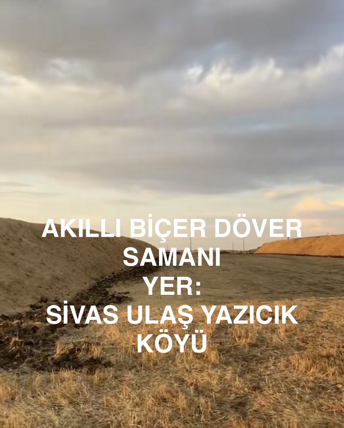 Akıllı biçer samanı satılık