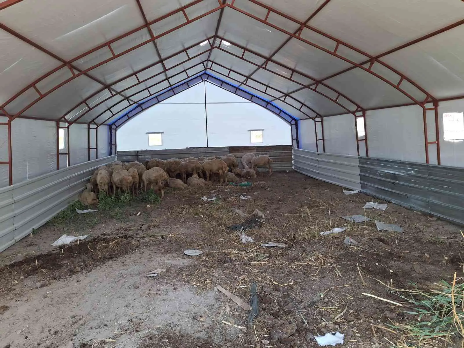 7x15 105M2–81 İL'E KAPIDA ÖDEME-KÜÇÜKBAŞ,BÜYÜKBAŞ,TAVUK-ÇADIRI
