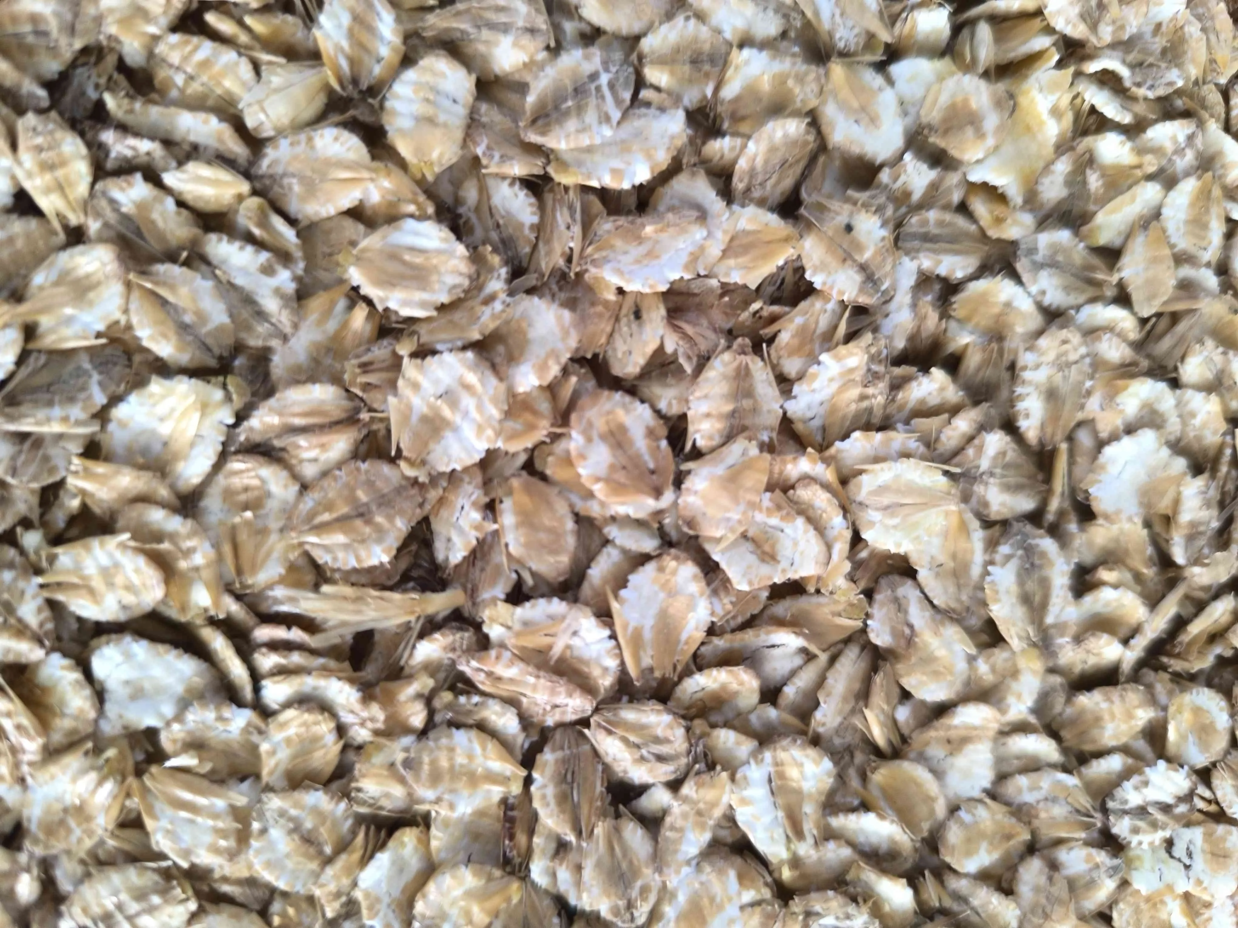Arpa flake