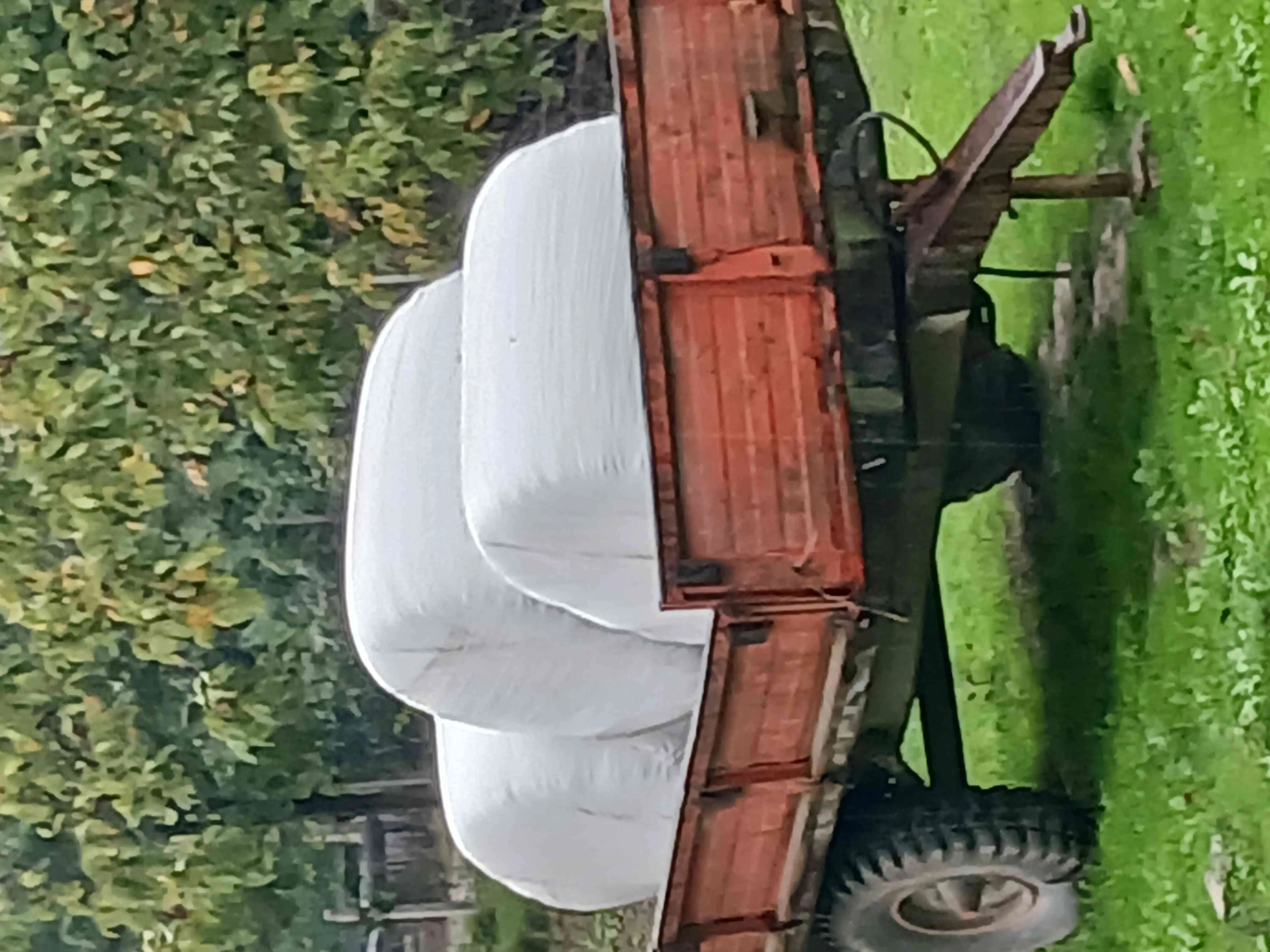 Büyük paket mısırlı