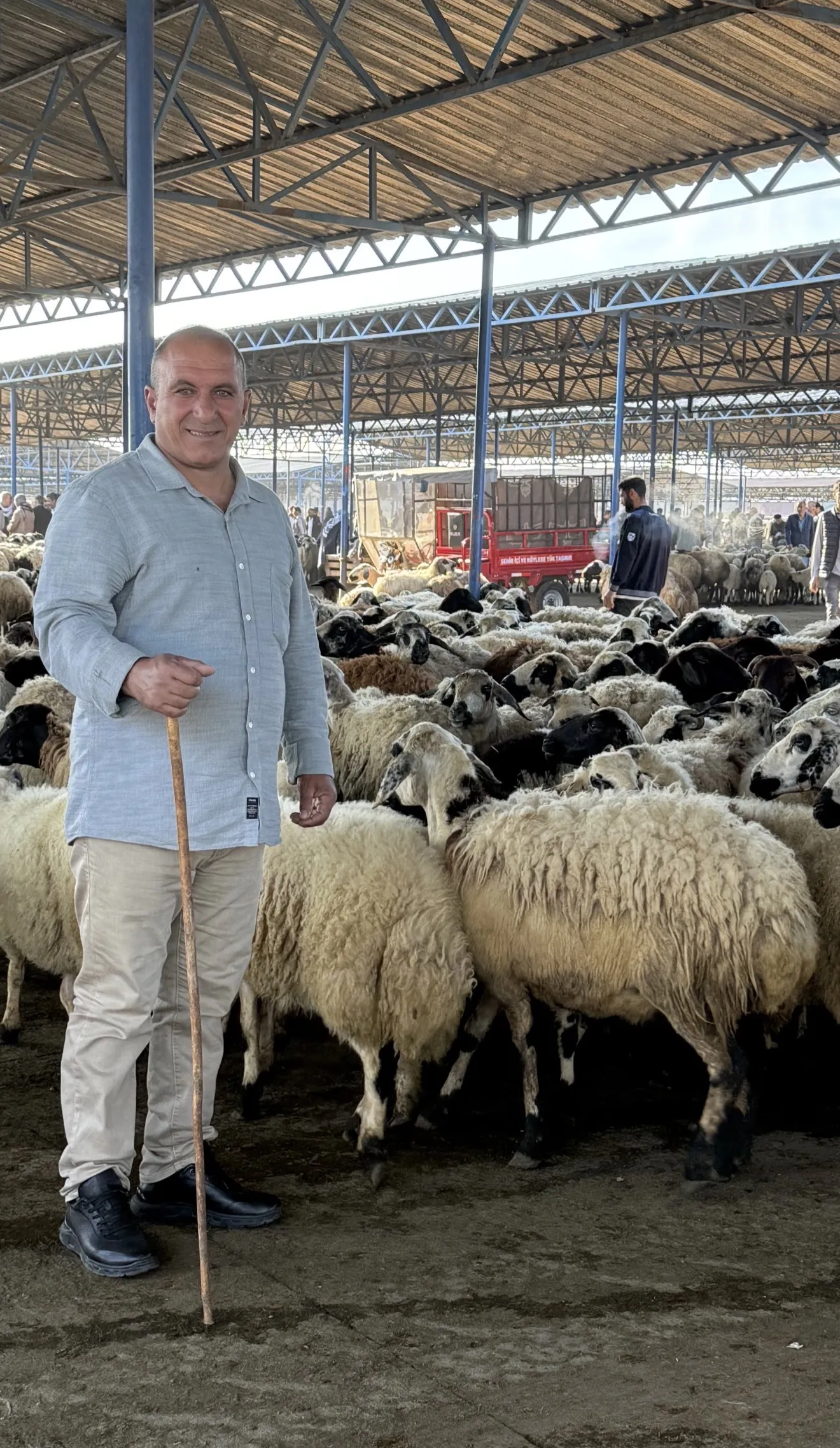 Kücükbaş Kurbanlık Bulunur Bakımı ve kesimi ücretsizdir